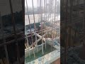 slab casting