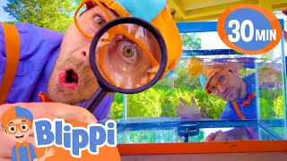 let s play will it sink float best blippi toys educational