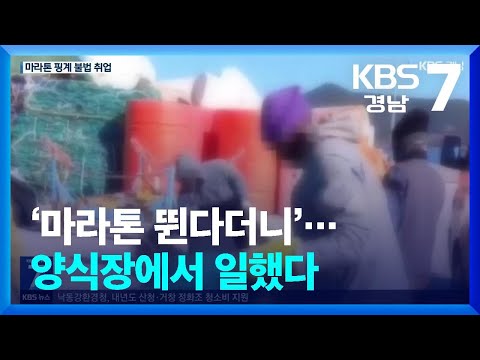‘마라톤 뛴다더니’…양식장에서 일했다 / KBS  2024.11.19.