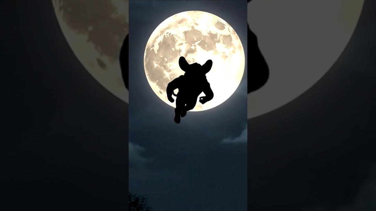 Dinkan – The Legendary Malayali Superhero Mouse 🐭⚡