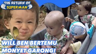Will Ben Bertemu Monyet Garong! |Nostalgia Superman|SUB INDO|180729 Siaran KBS WORLD TV|