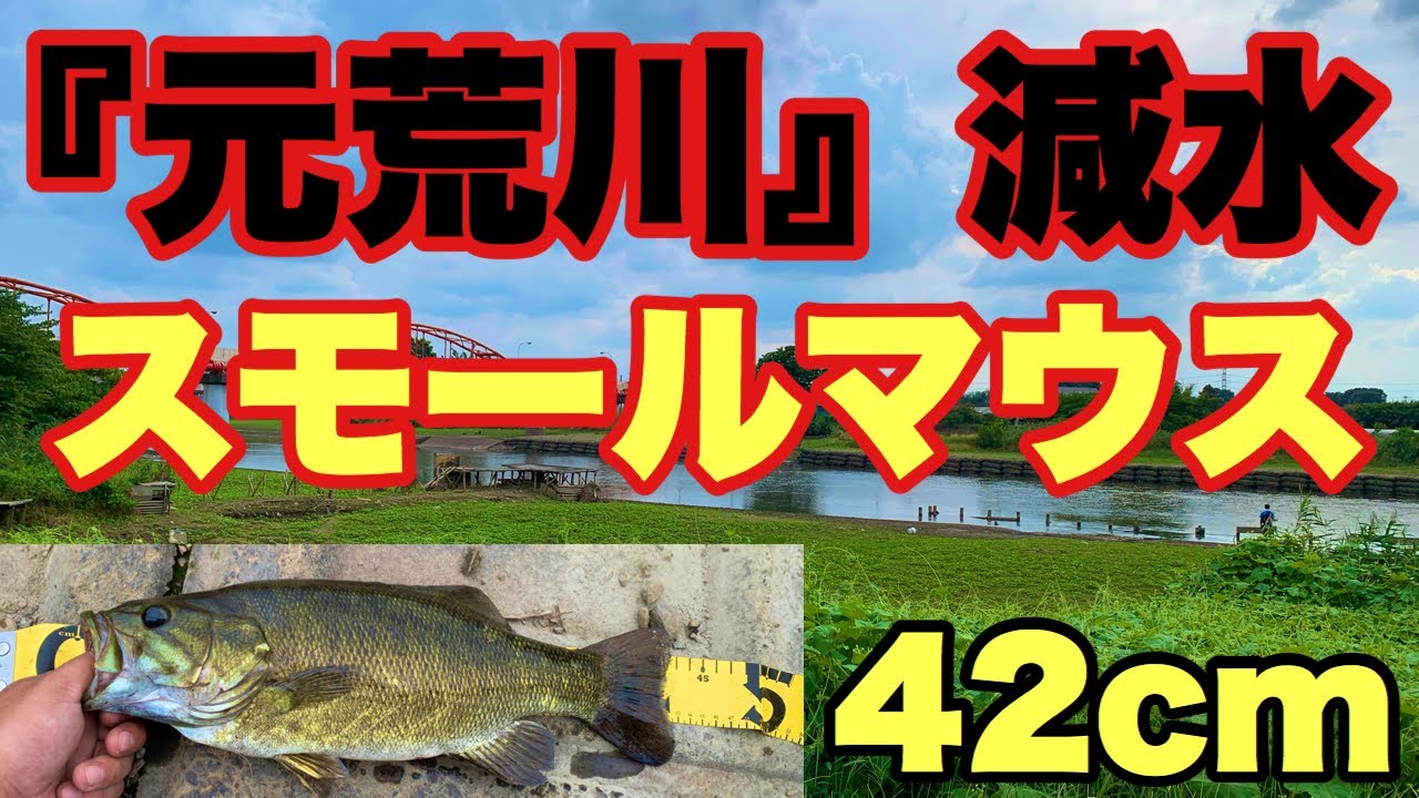 バス釣り 元荒川スモールマウスバス42 減水したこれからが釣れる 関東バス釣りポイント Youtube