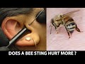 What Hurts More A Bee Sting or A Piercing?