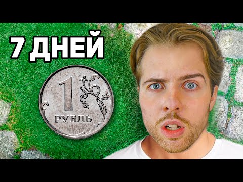 Выживаю на 0.01$ Неделю - Day 1