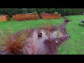 Rain Gardens and Residential Water Runoff, flood Management by VAP #rain #gardens #water catchments