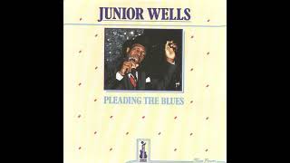 Junior Wells   Quit Teasing My Baby !!!