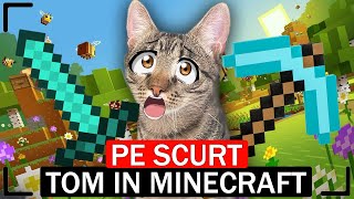 PE SCURT, TOM ÎN MINECRAFT