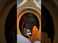 Tau Ga Bentuk Asli Hajar Aswad?#shorts