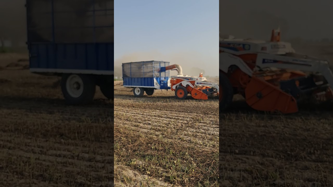 New Holland 3630 with KSA Straw Reaper 7562 | Moong Crop Reaper Work | Kheti Pro