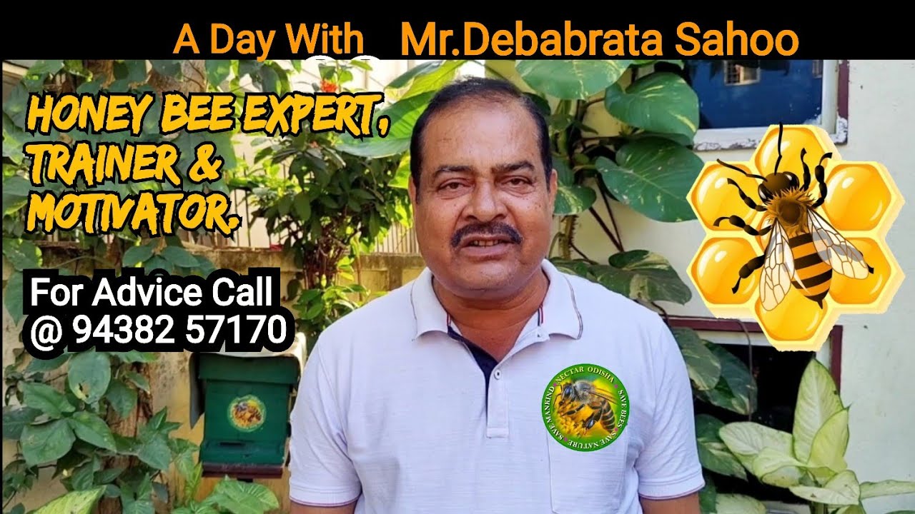 Art Of Beekeeping (Part- 1)| Nectar Odisha | Bee Farm In Odisha | ଓଡ଼ିଶା ର ମହୁ ଚାଷ |
