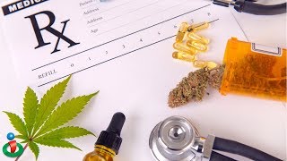 Why Cannabis Treats so Many Conditions!