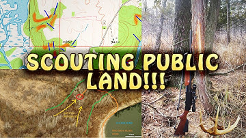 How to Scout Deer on Public Land