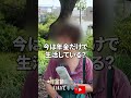 ↑本編はこちら #年金 #年金事務所 #年金インタビュー #年金暮らし #生活保護