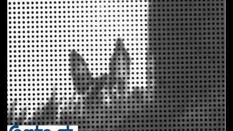 Single frequency-based visual servoing for microrobotics applications