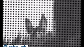 Single Frequency-Based Visual Servoing For Microrobotics Applications