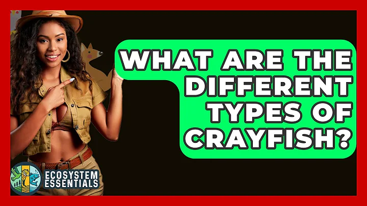 What Are The Different Types Of Crayfish? - Ecosystem Essentials