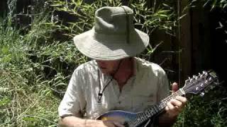 Doug Newman - Bears (original song w mandolin)