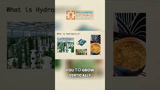 Grow Your Own Garden Anywhere, Anytime with Hydroponic Gardens