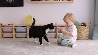 Scentiment: Scent Diffuser Pro Showcase