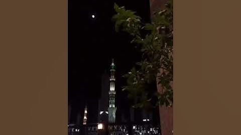سورة فاطر قراءة حجازية خاشعة