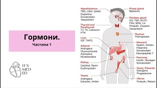 Біохімія. Гормони.