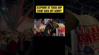 HILARIOUS: Elephant at Texas GOP Event Goes Off-Script
