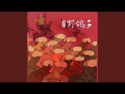 野鸽子