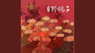 野鸽子