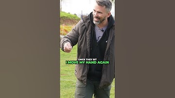 How Negative Punishment🚫Can Help Your Dog 🐾 Learn!