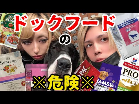 【ガンになる⁉︎】動物医療食の危険性！