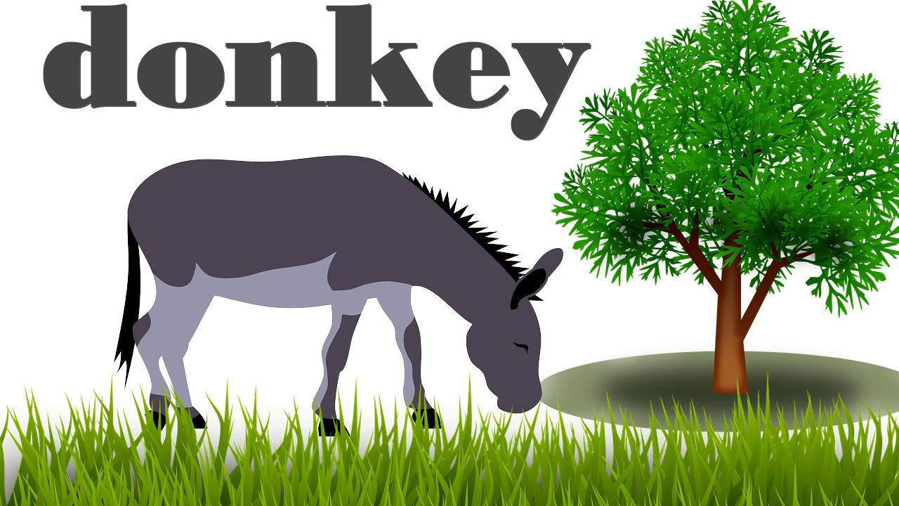 Learn farm animals name Vocabulary in English - YouTube