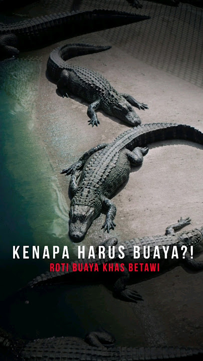 Kenapa Harus Buaya?! Roti Buaya, Makanan Seserahan Khas Betawi! Sebumi - Jakarta Green Tour