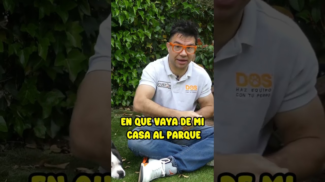 PASEO CON CORREA 🐾 2 | Consejos Adiestramiento Canino 🐶