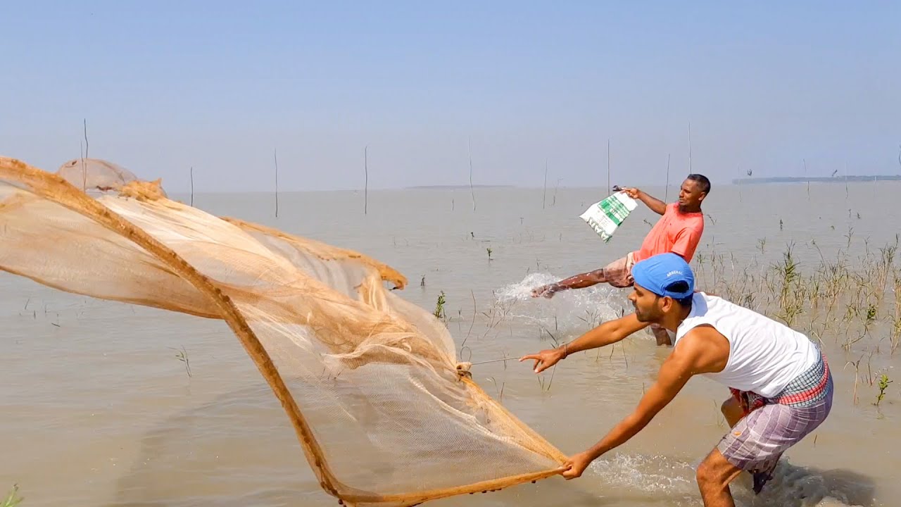 Net Fishing in The Village River with Natural Beauty and Sound | Village Fishing