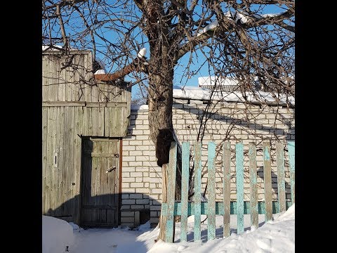 Зимние картинки. Снежное великолепие.