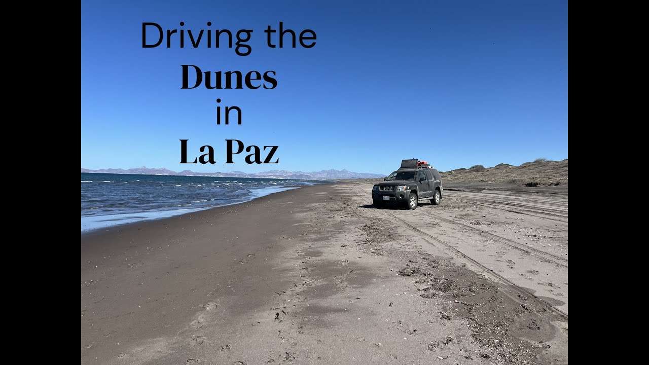 Sand Dunes   La Paz 2025