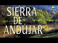 EL MAYOR SANTUARIO DE VIDA SALVAJE DE ESPAÑA, SIERRA DE ANDÚJAR