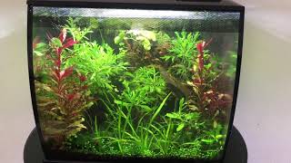 Fluval Flex 15 : Honest and Informative Review