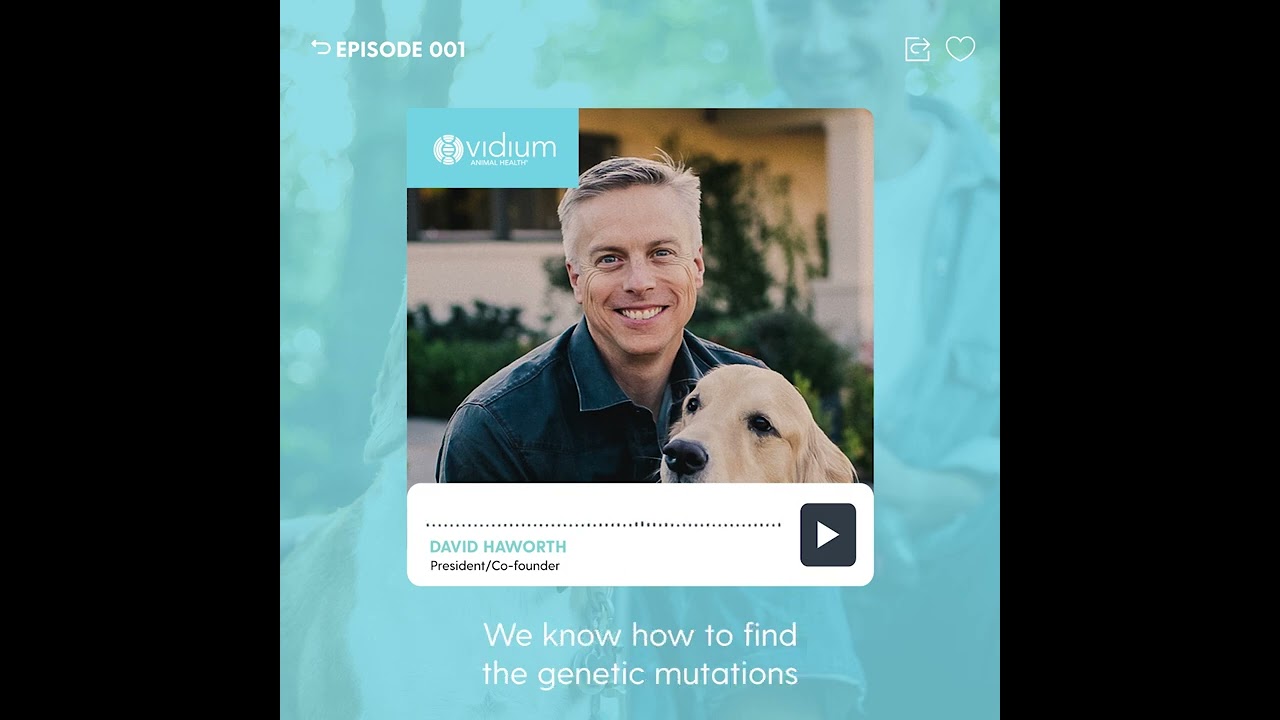 David Haworth of Vidium Animal Health discusses Petcare Marketing on The Good Minute | Bader Rutter