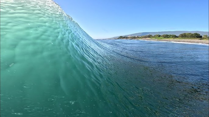 Uga-Buga Day' celebra o surfe de peito em Florianópolis - Aloha