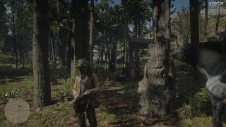 Red Dead Redemption 2 Open World Possibilities 