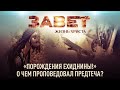 ЗАВЕТ. ЖИЗНЬ ХРИСТА. «ПОРОЖДЕНИЯ ЕХИДНИНЫ!» О ЧЕМ ПРОПОВЕДОВАЛ ПРЕДТЕЧА?