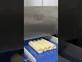 Wanlisonic Ultrasonic Swiss Roll Cutter Machine