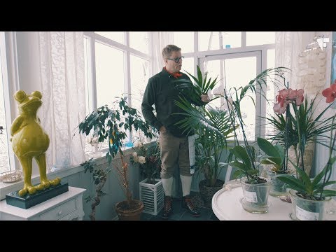 Strøm er strøm. Du sikrer deg den billigste på Strømpris.no
