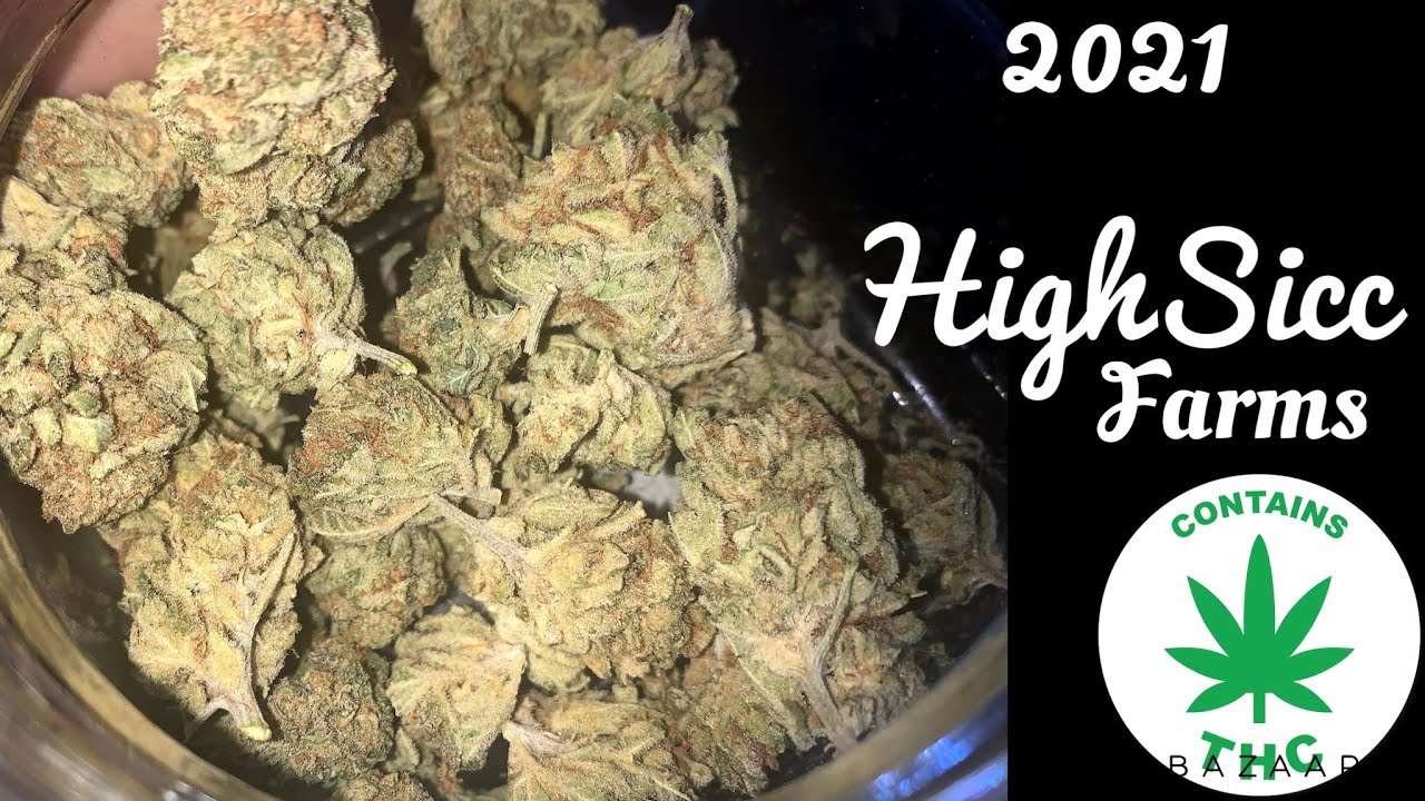 2021 Ganja Farm update 🌳