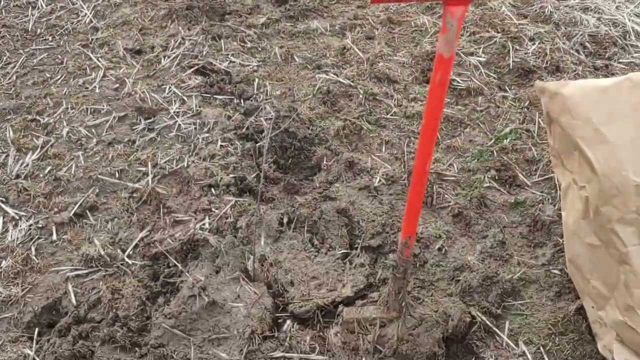 Shelterbelt / Windrow planting start.