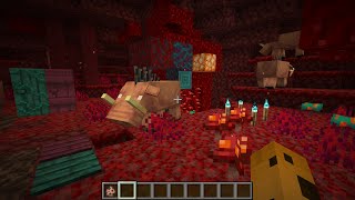 New Nether In Minecraft 1.16 Snapshot