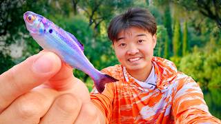 The Most Realistic Bait