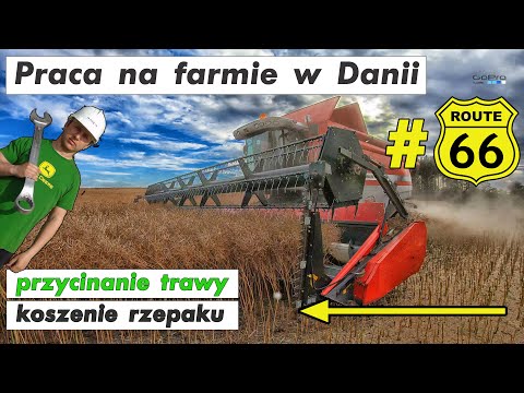 Praca na farmie