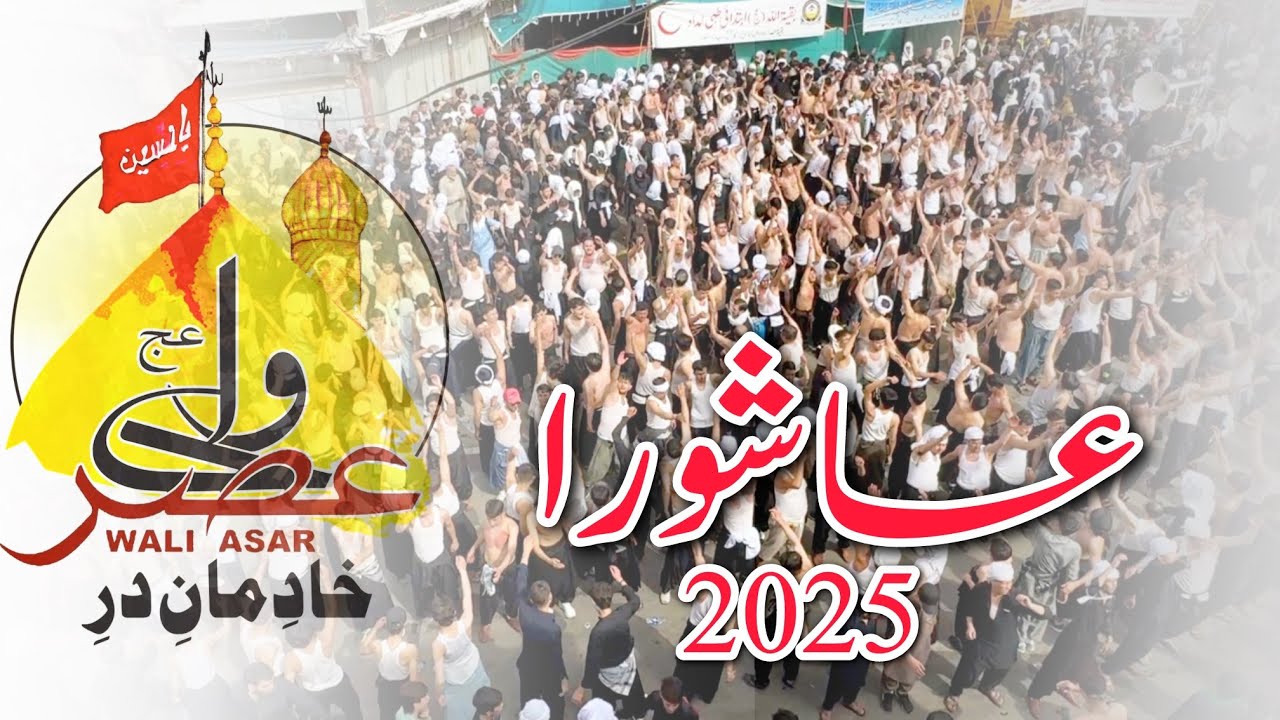 Ashura 2025 | Matami Dasta Wali Asar (a.s)